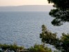 Bilde 33
