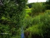 Bilde 17