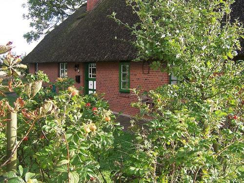 Feriehus - 4 personer -  - 25764 - Hillgroven