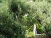 Bilde 39