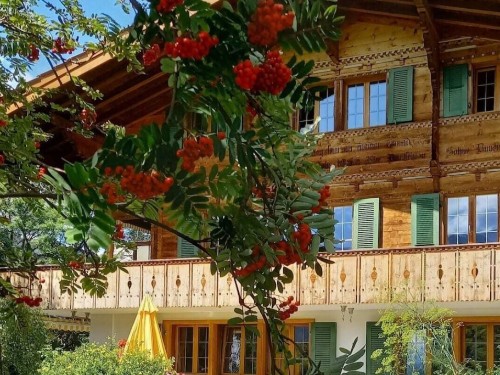Chalet - 8 personer -  - 3775 - Lenk