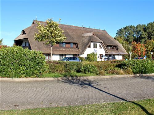 Ferieleilighet - 4 personer -  - Vorwerk - 18551 - Sagard