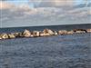 Bild 20