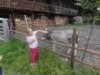 Billede 15