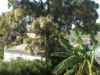 Image 28 - Outside