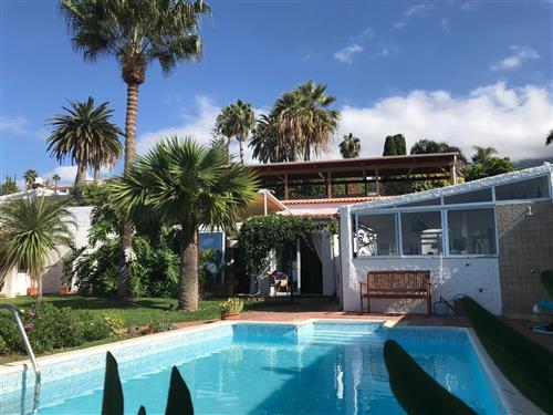 Ferienhaus - 6 Personen -  - Urb. La Palmita - 38380 - La Victoria De Acentejo