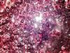 Bild 36