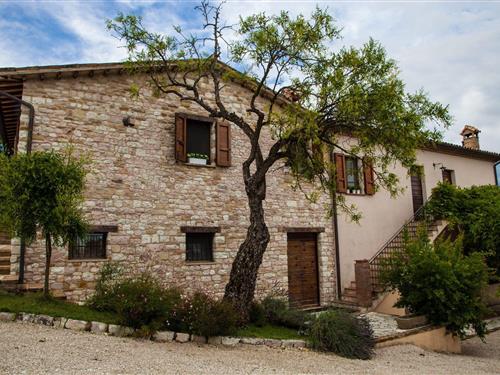 Ferienhaus - 3 Personen -  - Peglio delle Zolfare - 61034 - Isola Di Fano