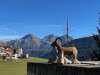 Bilde 7 - Ude