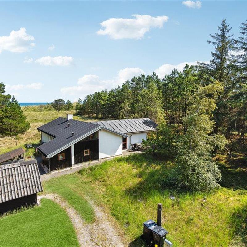 Ferienhaus - 8 Personen -  - Tyttebærvej - Napstjert Strand - 9981 - Jerup