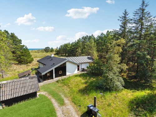 Sommerhus - 8 personer -  - Tyttebærvej - Napstjert Strand - 9981 - Jerup