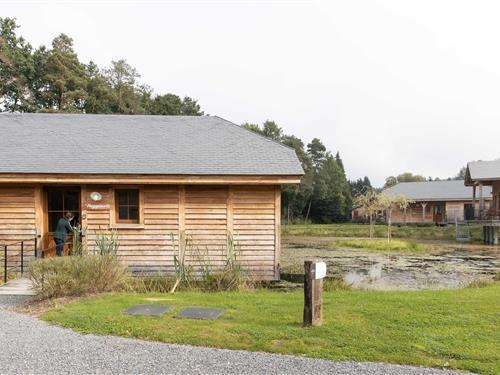 Feriehus - 6 personer -  - 5575 - Vencimont