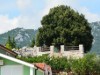 Bild 22