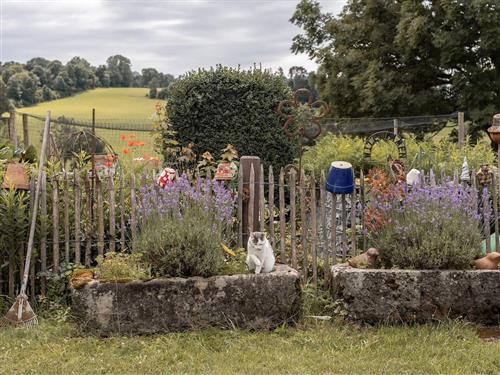  - 4 Personen -  - Rohrhof - 94118 - Jandelsbrunn