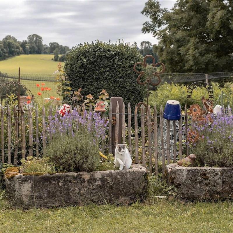  - 4 personer -  - Rohrhof - 94118 - Jandelsbrunn