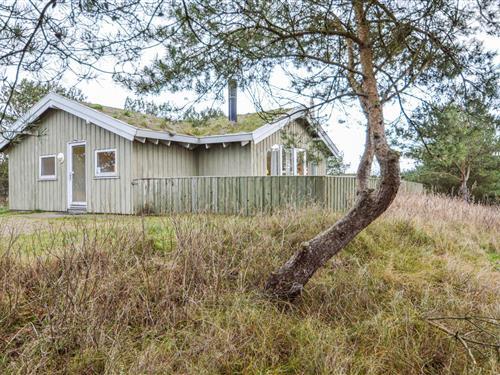 Ferienhaus - 5 Personen -  - Rørvej - Bolilmark - 6792 - Römö