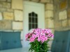 Image 26