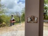 Image 12 - Outside