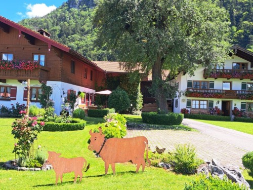 Bauernhof - 4 Personen -  - Freiweidach - 83250 - Marquartstein