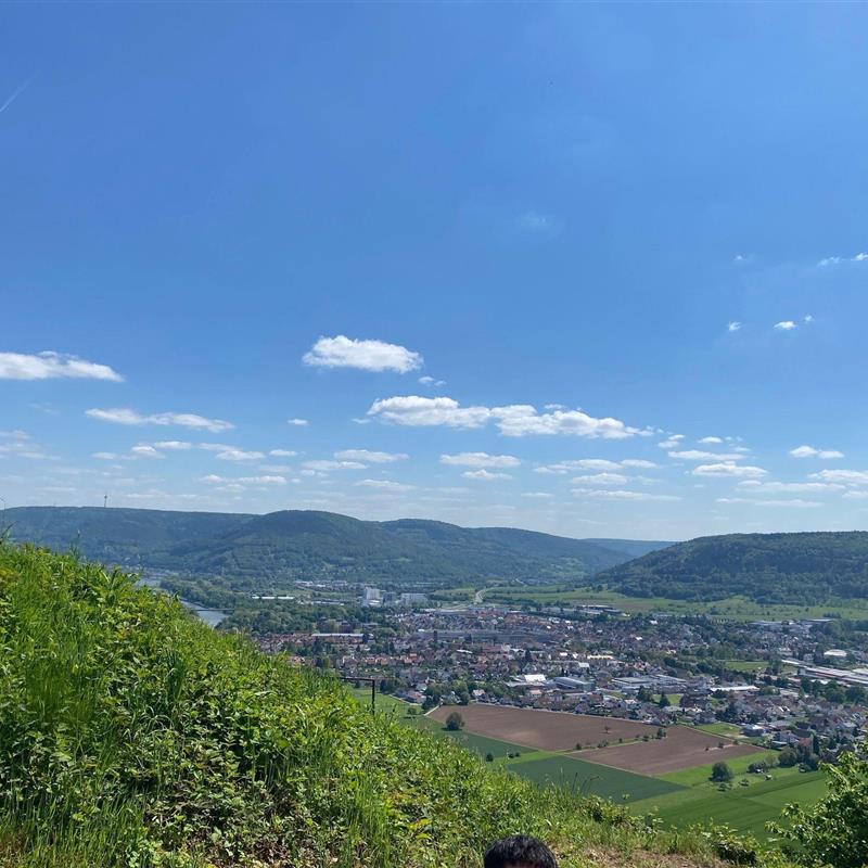 Ferielejlighed - 6 personer -  - Himmelthaler Weg - 63863 - Eschau