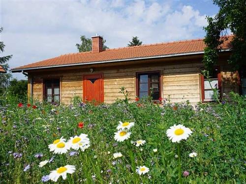 Ferienhaus - 1 Person -  - Feldstraße - 17498 - Hinrichshagen