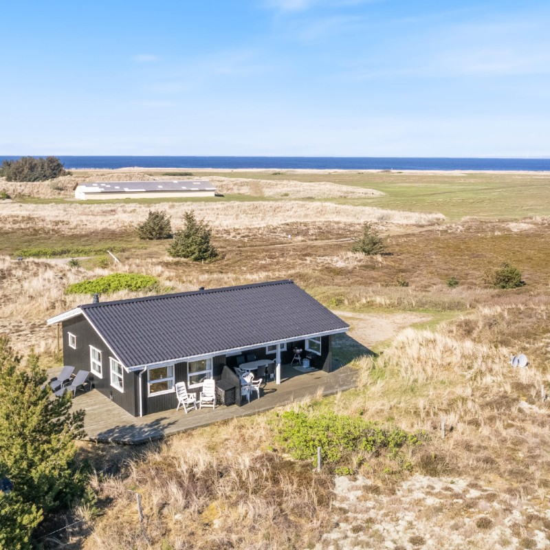 Sommerhus - 4 personer -  - Engsvingelvej - Årgab - 6960 - Hvide Sande