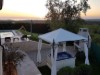 Bild 42