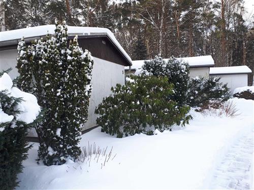 Semesteranläggning - 3 personer -  - Försterei - 17449 - Trassenheide