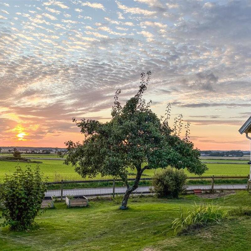 Sommerhus - 7 personer -  - Bengtsgårdsvägen - Vinberg/Falkenberg - 311 99 - Vinberg