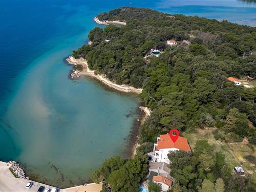 Ferieleilighet - 3 personer -  - Lopar - Rab-Lopar - 51281 - Lopar