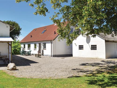 Sommerhus - 8 personer -  - Longelsevej - Sdr. Longelse - 5900 - Rudkøbing