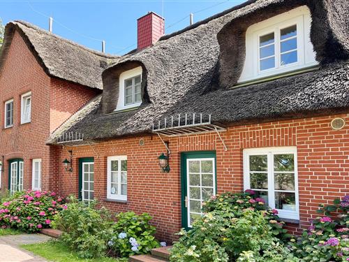 Ferieleilighet - 4 personer -  - Bredland - 25938 - Nieblum