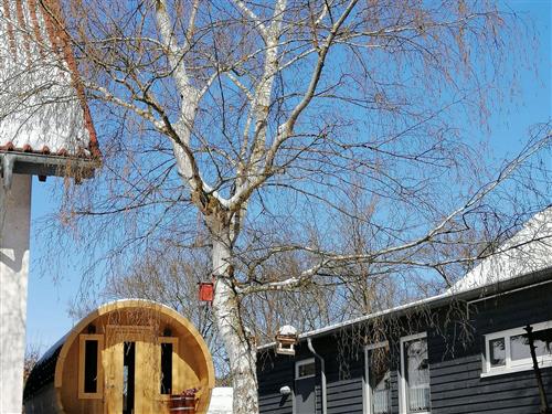 Sommerhus - 6 personer -  - Zum Spielplatz - 34513 - Waldeck / Nieder-Werbe