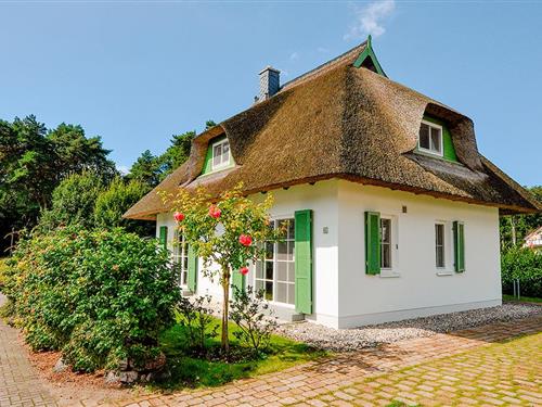 Ferienhaus - 6 Personen -  - Küstenwald - 17459 - Koserow