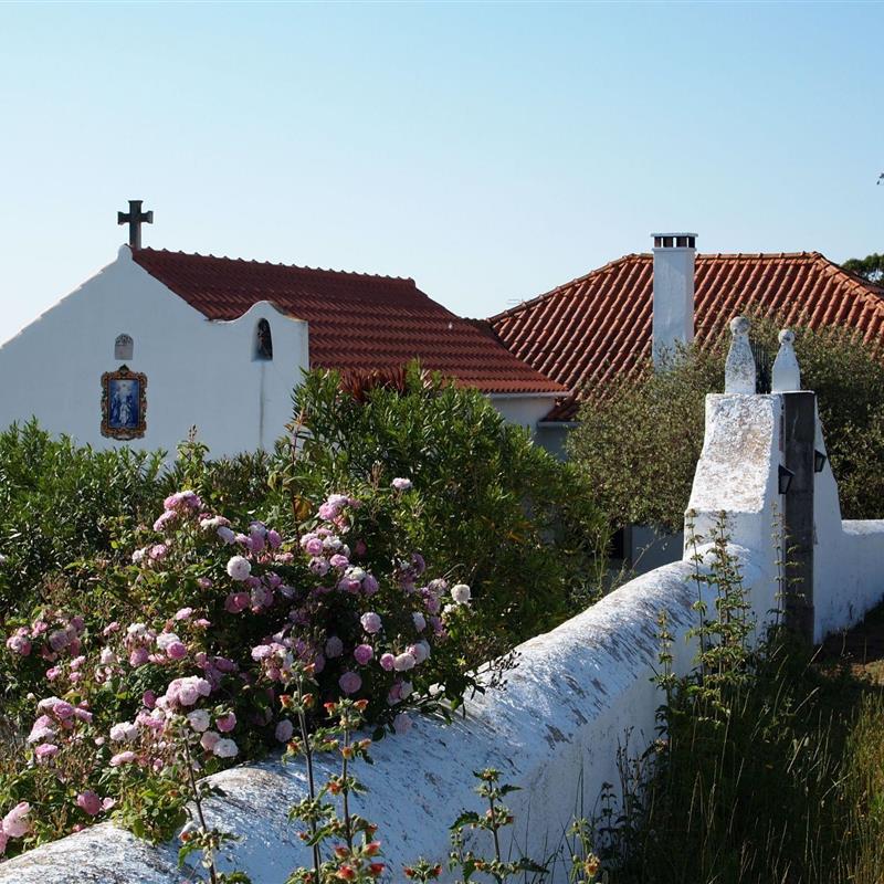 Sommerhus - 11 personer -  - Reveles - 3140-015