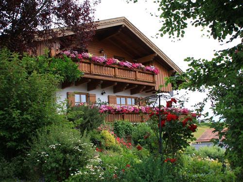 Ferieleilighet - 3 personer -  - St.-Martin-Str. - 94209 - Regen