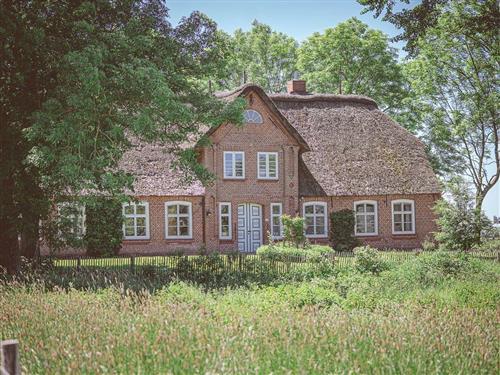 Holiday apartment - 5 persons -  - Warmhörner Deich - 25882 - Tetenbüll