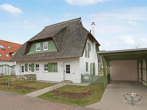 Ferienhaus - 4 Personen -  - Sanddornweg - 17449 - Karlshagen