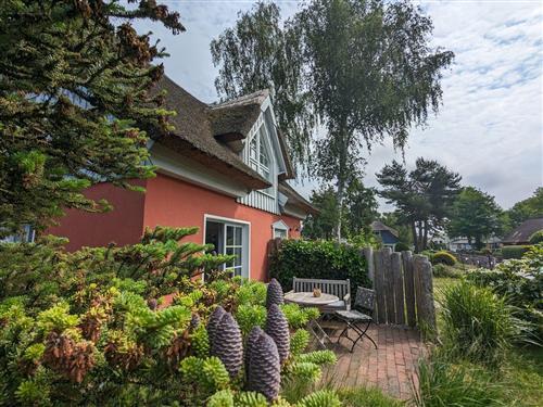 Ferielejlighed - 3 personer -  - Chausseestraße - 18375 - Born