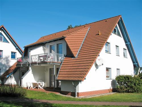 Feriehus / leilighet - 4 personer -  - Karlshagen - 17449