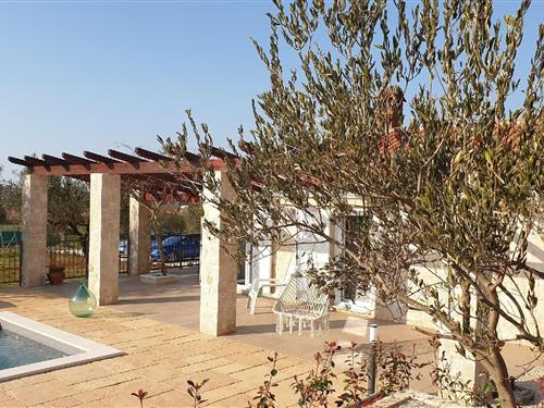 Ferienhaus - 4 Personen -  - Bazilika - 52210 - Rovinj