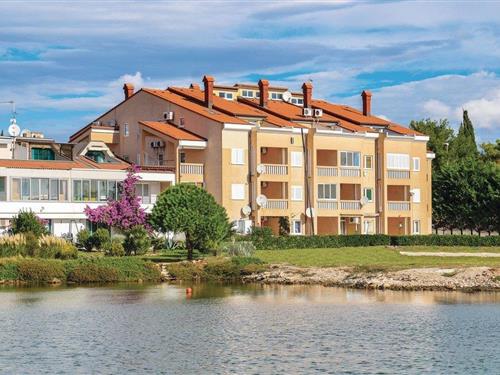 Ferielejlighed - 4 personer -  - Brajdine - 52203 - Medulin