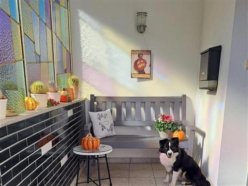 Ferielejlighed - 2 personer -  - In der Olk - 54340 - Detzem