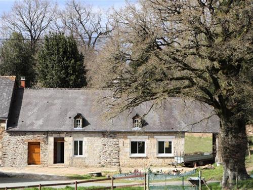 Ferienhaus - 4 Personen -  - 61140 - Rives-D'andaine