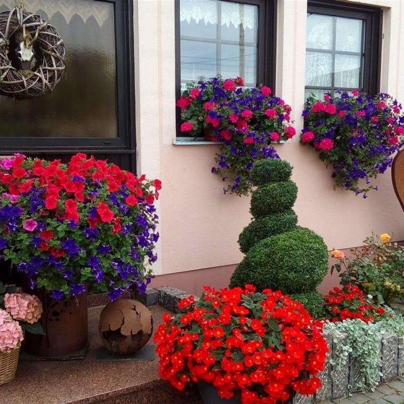 Ferielejlighed - 5 personer -  - Hauptstr. - 54597 - Habscheid