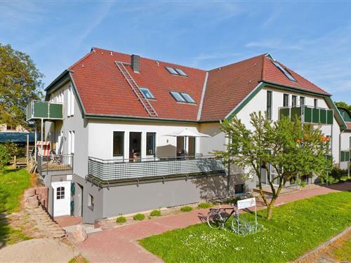 Holiday Home/Apartment - 4 persons -  - Alt Reddevitz - 18586 - Mönchgut Ot Alt Reddevitz