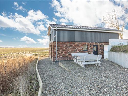 Holiday home - 2 persons -  - Mitteldeich - 25845 - Nordstrand