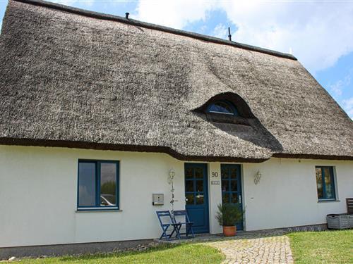 Holiday Home/Apartment - 5 persons -  - Strandweg - Börgerende - 18211 - Börgerende-Rethwisch