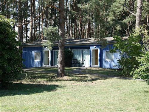 Holiday Home/Apartment - 8 persons -  - Am Fleesensee - 17214 - Silz