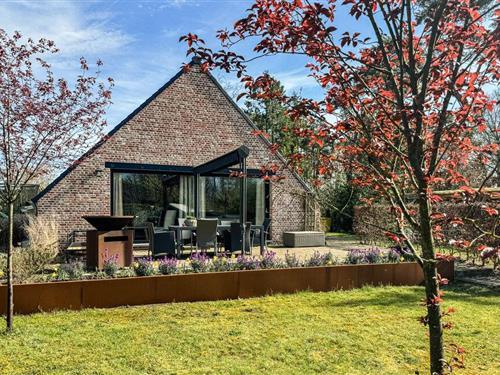 Sommerhus - 12 personer -  - Zwartwaterweg - 2330 - Merksplas